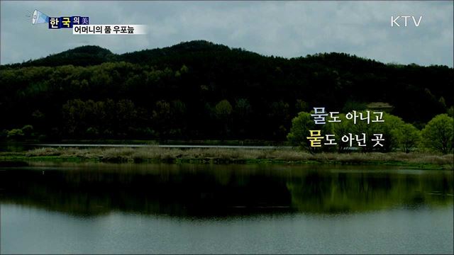 어머니의 품 우포늪 [한국의 美]