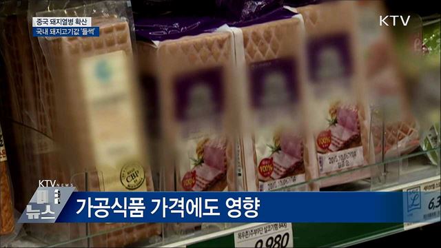 중국 아프리카돼지열병···국내 돼지고기값도 인상 본격화