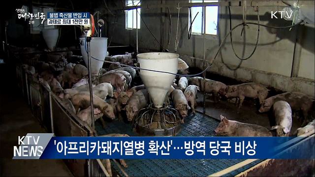 "불법 축산물 반입 과태료 최대 1천만 원"
