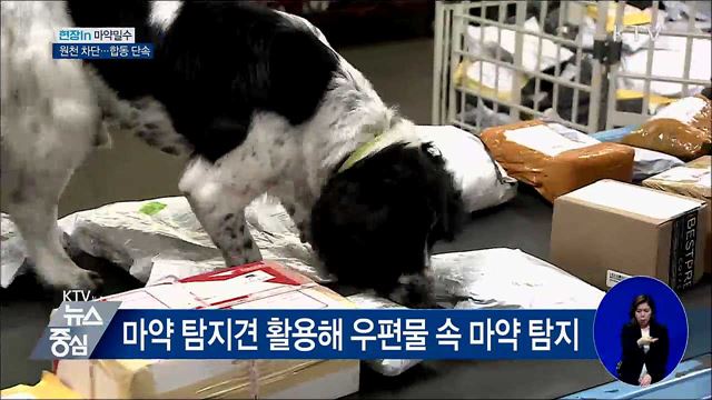 조직화된 마약 밀수···'마약청정국' 회복 나선다 [현장in]