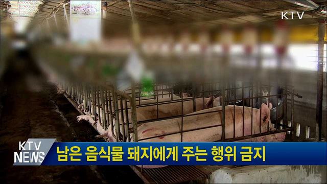 남은 음식물 돼지에게 주는 행위 금지