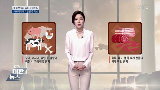 아프리카돼지열병 주의보 [똑똑한 정책뉴스]