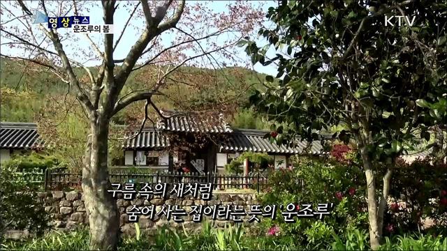 조선 최고의 명당···운조루의 봄