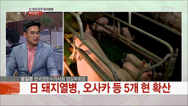 범정부 차원 국내 유입 차단 총력···아프리카 돼지열병 예방 대책은?