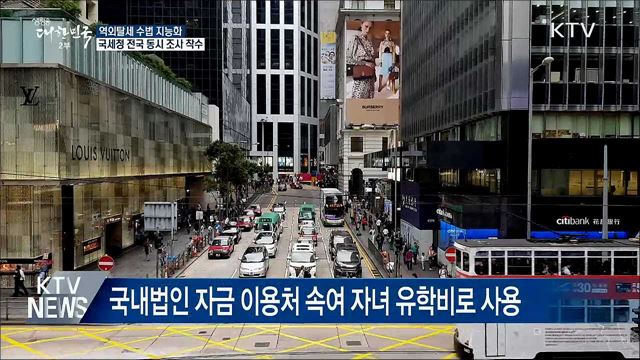 역외탈세 수법 진화···세무조사로 정조준