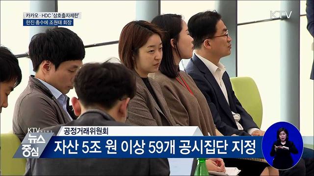 '매출 10조' 카카오·HDC···상호출자 금지