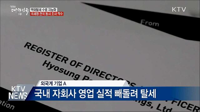 역외탈세 수법 진화···세무조사로 정조준