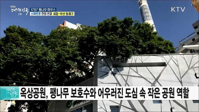 빈 공간이 주민소통공간으로! 1797 팽나무 하우스 