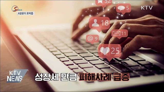 '미미쿠키'에 '곰팡이 호박즙'까지···SNS주의보 [S&News]