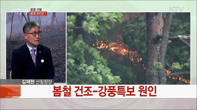 '강원 산불' 신속대응 성과와 선제적 예방 대책은?
