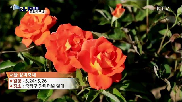 이주의 문화가 산책 (19. 05. 23. 7시)