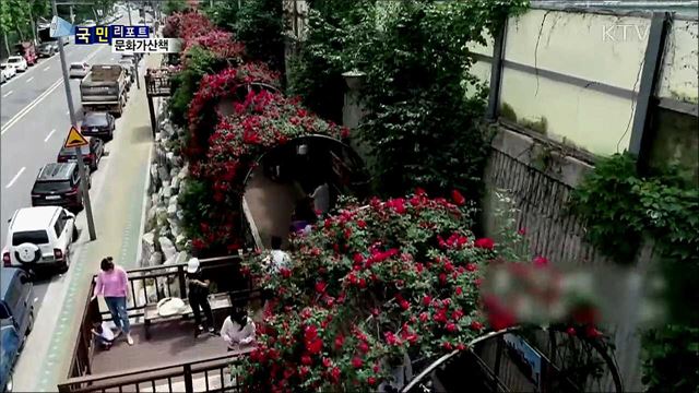 이주의 문화가 산책