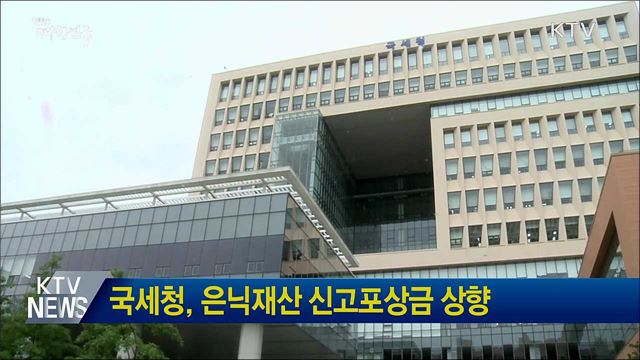 국세청, 은닉재산 신고포상금 상향