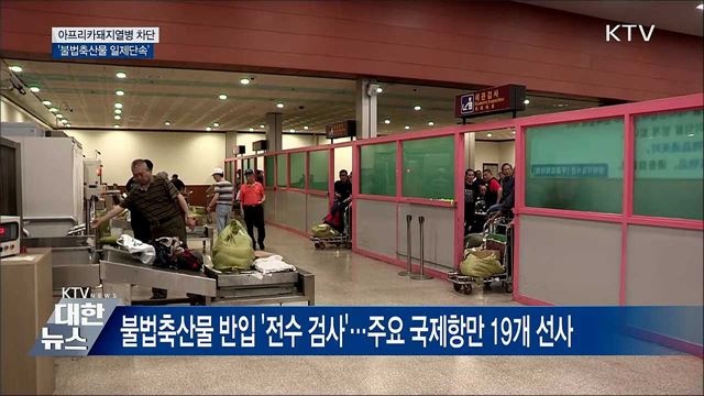 불법 해외축산물 일제단속···돼지열병 '철통 차단'