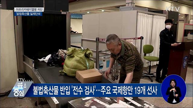 불법 해외축산물 일제단속···돼지열병 '철통 차단'