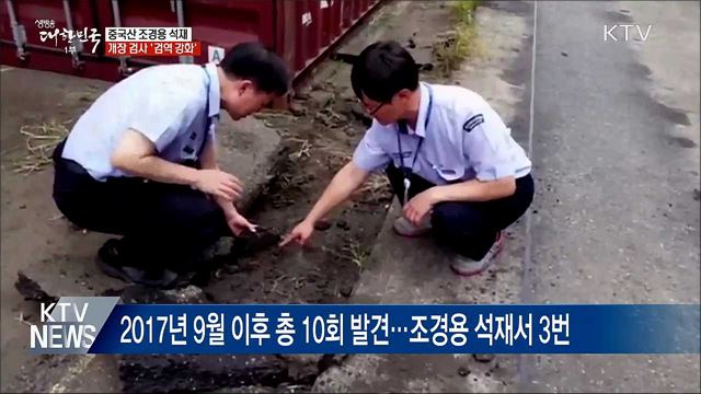 붉은불개미 잇따라 발견···국경검역 강화