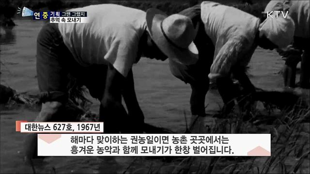 동네가 들썩들썩···손 모내기 농촌 주민 총출동