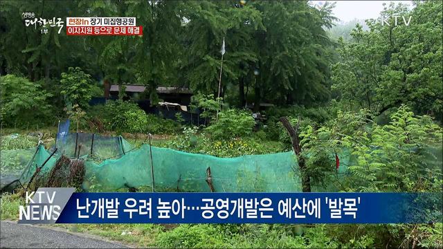 장기 미집행공원 해제 임박···대책은? [현장in]