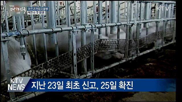 北 아프리카돼지열병 첫 발생···접경지역 방역 강화