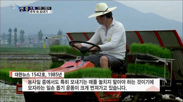 동네가 들썩들썩···손 모내기 농촌 주민 총출동