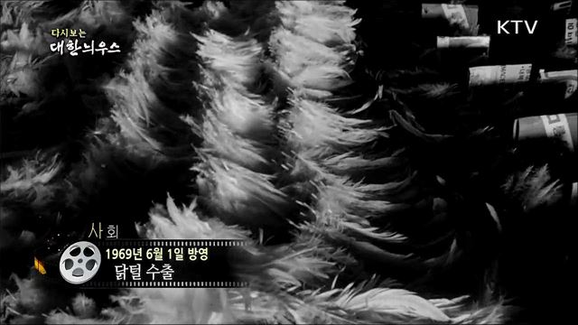 다시보는 대한늬우스 (69. 6. 1)