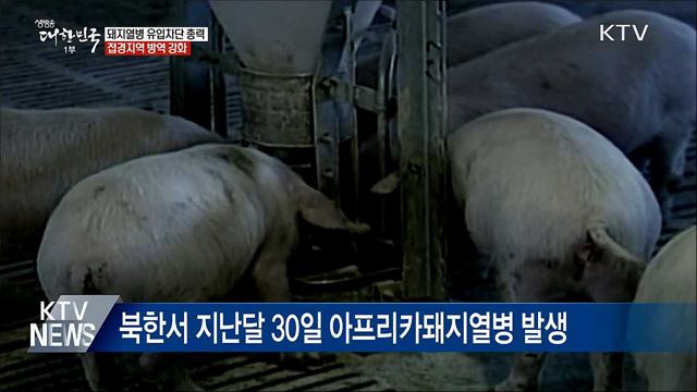 돼지열병 유입차단 총력···접경지역 방역 강화
