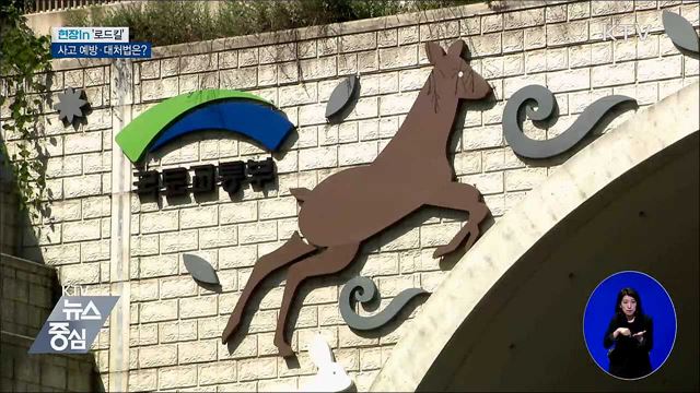 로드킬 5~6월 집중···사고 예방·대처법은? [현장in]