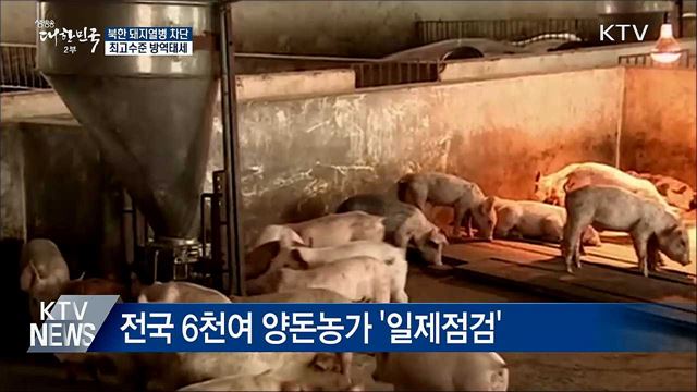 "북한 돼지열병 빠르게 남하할 듯···최고수준 방역태세"