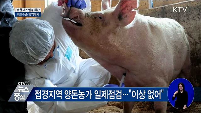 "북한 돼지열병 빠르게 남하할 듯···최고수준 방역태세"