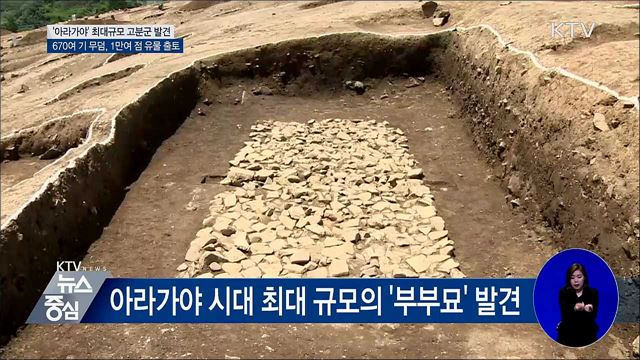 경남 창원서 아라가야 최대 규모 고분군 발굴