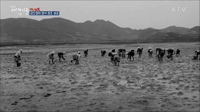 갑오징어 양식 최초 성공 [이니셜K]