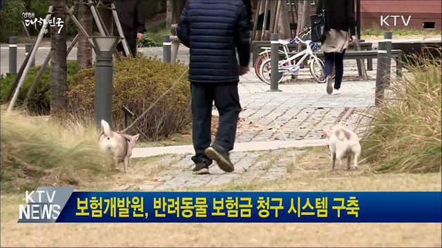 보험개발원, 반려동물 보험금 청구 시스템 구축