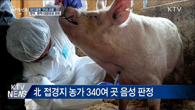 '안심 금물'···돼지열병 예방방역 전국 확대