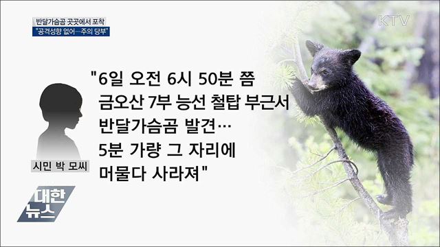 반달가슴곰 구미서도 발견···"공격 성향 없어요"