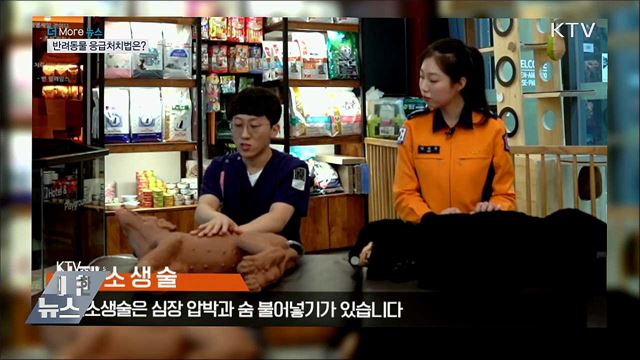 국민 4명 중 1명 '교통약자'···"철도가 가장 편해요"