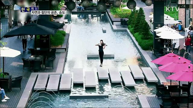 자연과 첨단의 공존, 송도 [한국의 美]