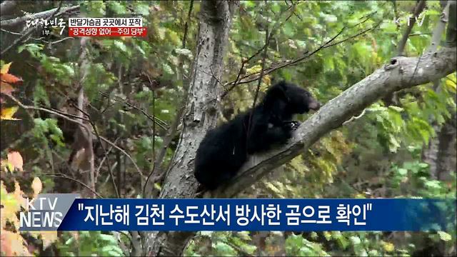 반달가슴곰 구미서도 발견···"공격 성향 없어요"
