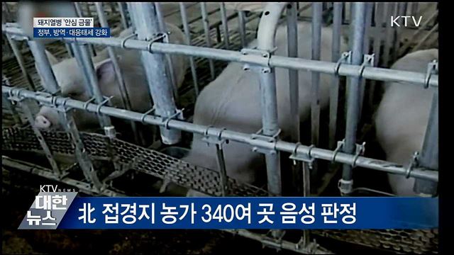 '안심 금물'···돼지열병 예방방역 전국 확대