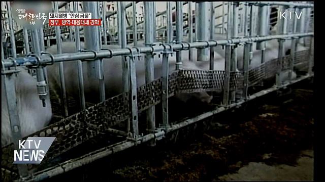 '안심 금물'···돼지열병 예방방역 전국 확대