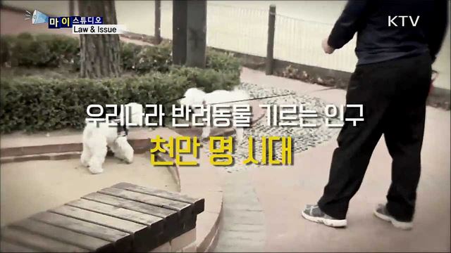 당신의 반려동물을 사랑하는 법 [마이스튜디오]