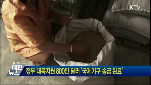 정부 대북지원 800만 달러 '국제기구 송금 완료'