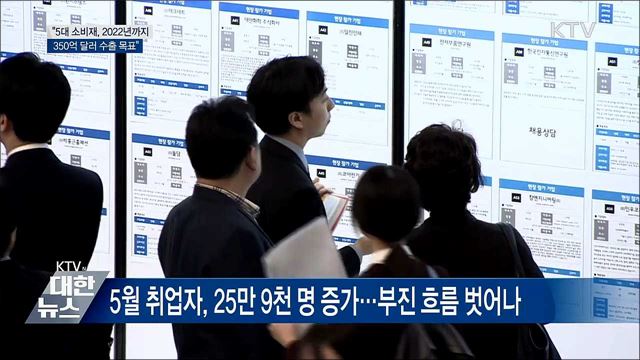 "5대 소비재 수출액, 2022년 350억 달러 목표"