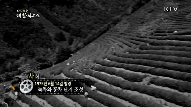 다시보는 대한늬우스 (75. 6. 14)