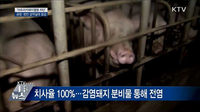 '아프리카돼지열병 차단'···공항·항만 검역실태 점검