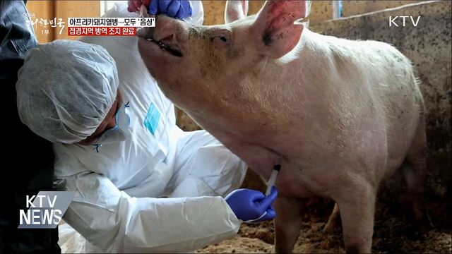 아프리카돼지열병 긴급 방역···"감염 농가 없어"