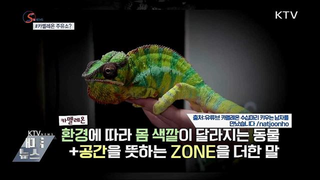 주유소는 카멜레온? [S&News]