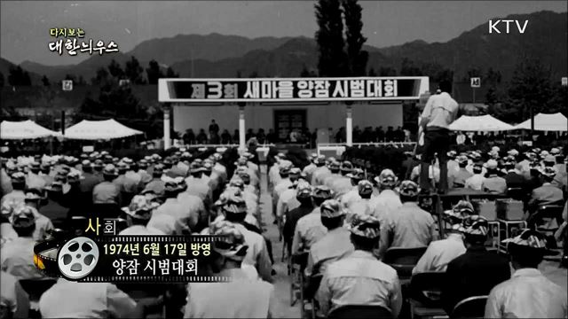 다시보는 대한늬우스 (74. 6. 17)