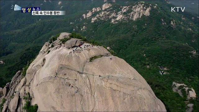 신록 속 인수봉 등반 [한국의 美]