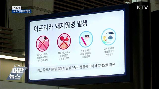 아프리카돼지열병 [뉴스팜]