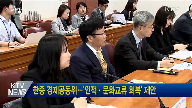 한중 경제공동위···'인적·문화교류 회복' 제안